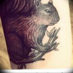 Photo tattoo Squirrel 04.02.2019 №084 - idea for a squirrel tattoo - tattoovalue.net