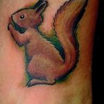 Photo tattoo Squirrel 04.02.2019 №091 - idea for a squirrel tattoo - tattoovalue.net