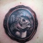 Photo tattoo Squirrel 04.02.2019 №104 - idea for a squirrel tattoo - tattoovalue.net