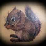 Photo tattoo Squirrel 04.02.2019 №106 - idea for a squirrel tattoo - tattoovalue.net