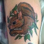 Photo tattoo Squirrel 04.02.2019 №107 - idea for a squirrel tattoo - tattoovalue.net