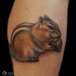 Photo tattoo Squirrel 04.02.2019 №109 - idea for a squirrel tattoo - tattoovalue.net
