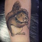 Photo tattoo Squirrel 04.02.2019 №117 - idea for a squirrel tattoo - tattoovalue.net