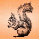 Photo tattoo Squirrel 04.02.2019 №128 - idea for a squirrel tattoo - tattoovalue.net