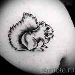 Photo tattoo Squirrel 04.02.2019 №129 - idea for a squirrel tattoo - tattoovalue.net