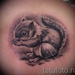 Photo tattoo Squirrel 04.02.2019 №132 - idea for a squirrel tattoo - tattoovalue.net