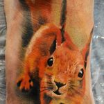 Photo tattoo Squirrel 04.02.2019 №144 - idea for a squirrel tattoo - tattoovalue.net