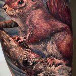 Photo tattoo Squirrel 04.02.2019 №146 - idea for a squirrel tattoo - tattoovalue.net