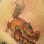 Photo tattoo Squirrel 04.02.2019 №151 - idea for a squirrel tattoo - tattoovalue.net