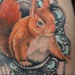 Photo tattoo Squirrel 04.02.2019 №204 - idea for a squirrel tattoo - tattoovalue.net