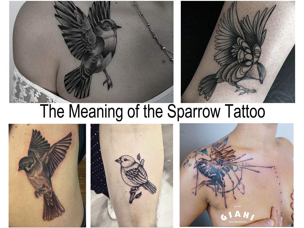 The Meaning of the Sparrow Tattoo - features of the picture and photo examples of finished tattoos