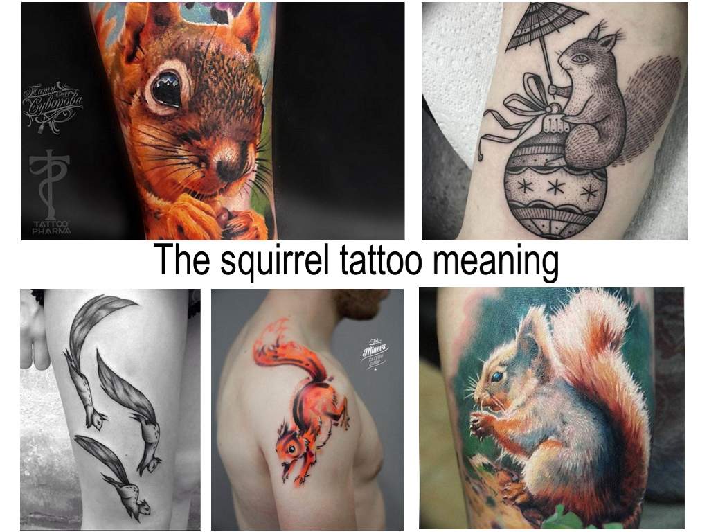 The squirrel tattoo meaning - information about the features of the picture and photo examples of finished tattoos