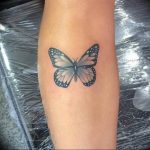 butterfly tattoo photo 04.02.2019 №006 - tattoo idea with a butterfly - tattoovalue.net