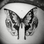 butterfly tattoo photo 04.02.2019 №037 - tattoo idea with a butterfly - tattoovalue.net