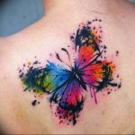 butterfly tattoo photo 04.02.2019 №050 - tattoo idea with a butterfly - tattoovalue.net