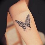 butterfly tattoo photo 04.02.2019 №055 - tattoo idea with a butterfly - tattoovalue.net