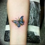 butterfly tattoo photo 04.02.2019 №062 - tattoo idea with a butterfly - tattoovalue.net