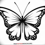 butterfly tattoo photo 04.02.2019 №070 - tattoo idea with a butterfly - tattoovalue.net