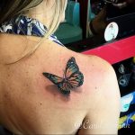 butterfly tattoo photo 04.02.2019 №079 - tattoo idea with a butterfly - tattoovalue.net