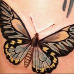 butterfly tattoo photo 04.02.2019 №085 - tattoo idea with a butterfly - tattoovalue.net