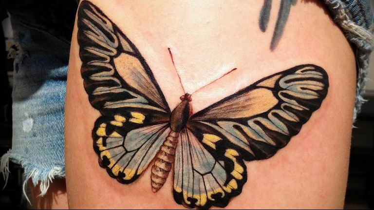 butterfly tattoo photo 04.02.2019 №085 - tattoo idea with a butterfly - tattoovalue.net