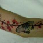 butterfly tattoo photo 04.02.2019 №086 - tattoo idea with a butterfly - tattoovalue.net