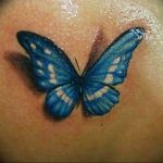 butterfly tattoo photo 04.02.2019 №088 - tattoo idea with a butterfly - tattoovalue.net