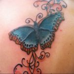 butterfly tattoo photo 04.02.2019 №090 - tattoo idea with a butterfly - tattoovalue.net