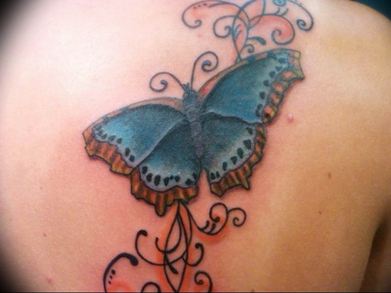 butterfly tattoo photo 04.02.2019 №090 - tattoo idea with a butterfly - tattoovalue.net