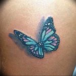 butterfly tattoo photo 04.02.2019 №094 - tattoo idea with a butterfly - tattoovalue.net