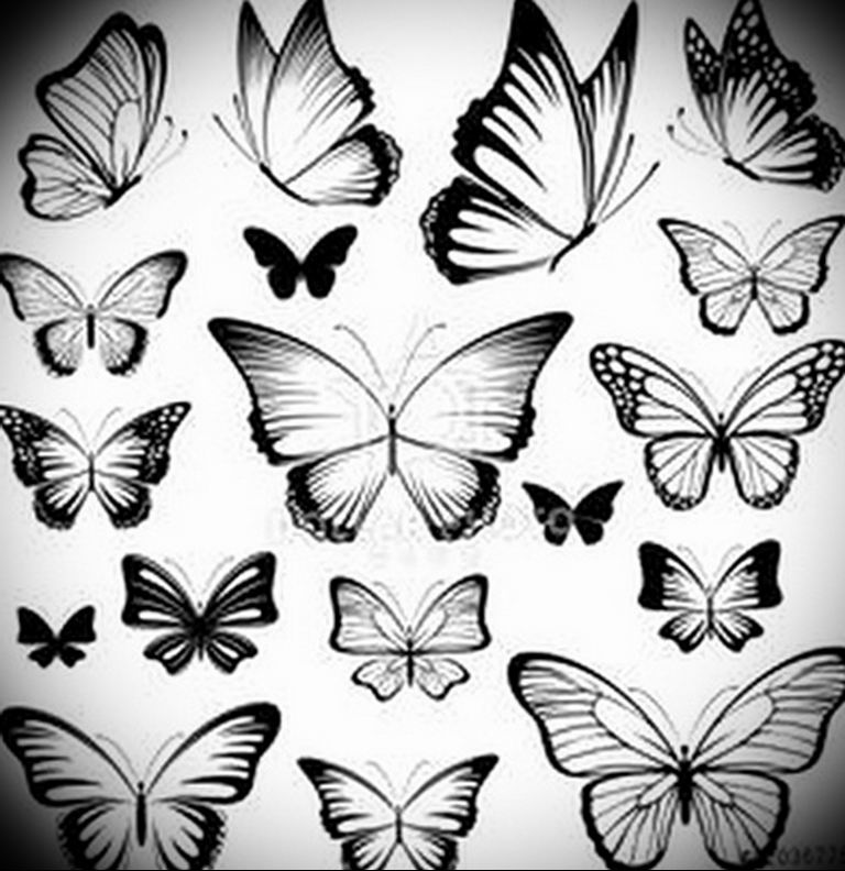 butterfly tattoo photo 04.02.2019 №106 - tattoo idea with a butterfly - tattoovalue.net