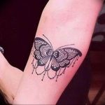 butterfly tattoo photo 04.02.2019 №111 - tattoo idea with a butterfly - tattoovalue.net