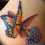 butterfly tattoo photo 04.02.2019 №113 - tattoo idea with a butterfly - tattoovalue.net