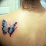 butterfly tattoo photo 04.02.2019 №137 - tattoo idea with a butterfly - tattoovalue.net