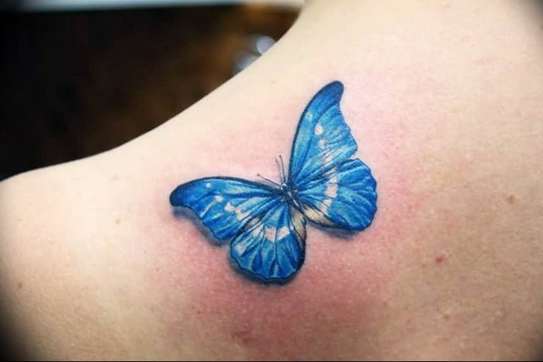 butterfly tattoo photo 04.02.2019 №139 - tattoo idea with a butterfly - tattoovalue.net