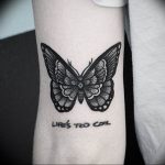butterfly tattoo photo 04.02.2019 №143 - tattoo idea with a butterfly - tattoovalue.net