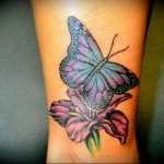 butterfly tattoo photo 04.02.2019 №148 - tattoo idea with a butterfly - tattoovalue.net