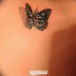 butterfly tattoo photo 04.02.2019 №157 - tattoo idea with a butterfly - tattoovalue.net