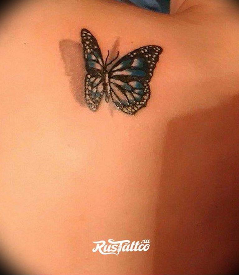 butterfly tattoo photo 04.02.2019 №157 - tattoo idea with a butterfly - tattoovalue.net