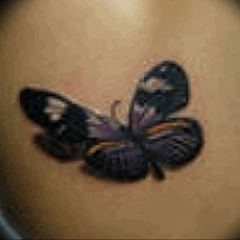 butterfly tattoo photo 04.02.2019 №160 - tattoo idea with a butterfly - tattoovalue.net
