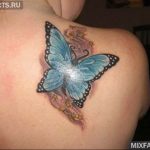 butterfly tattoo photo 04.02.2019 №163 - tattoo idea with a butterfly - tattoovalue.net