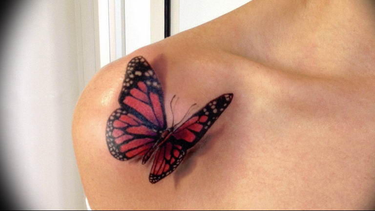 butterfly tattoo photo 04.02.2019 №166 - tattoo idea with a butterfly - tattoovalue.net