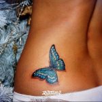 butterfly tattoo photo 04.02.2019 №168 - tattoo idea with a butterfly - tattoovalue.net