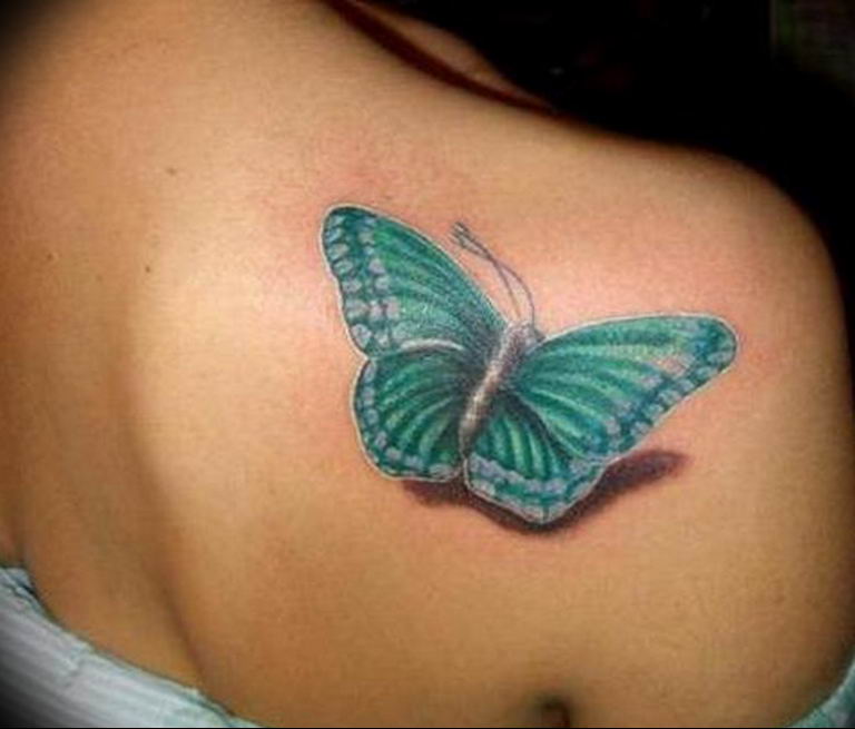 butterfly tattoo photo 04.02.2019 №170 - tattoo idea with a butterfly - tattoovalue.net