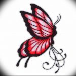 butterfly tattoo photo 04.02.2019 №171 - tattoo idea with a butterfly - tattoovalue.net