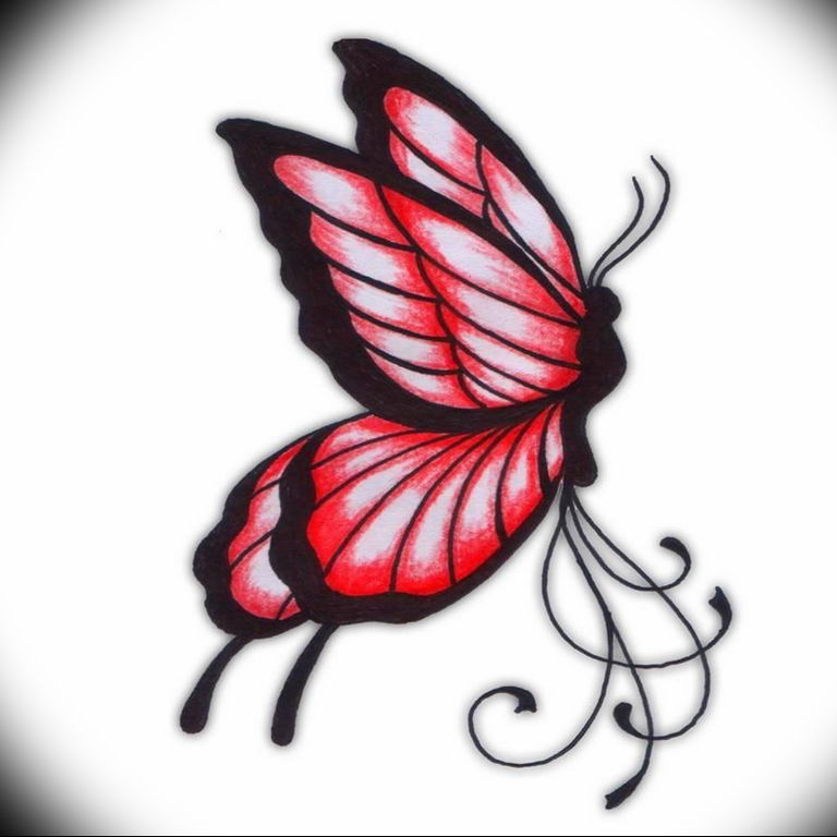 butterfly tattoo photo 04.02.2019 №171 - tattoo idea with a butterfly - tattoovalue.net