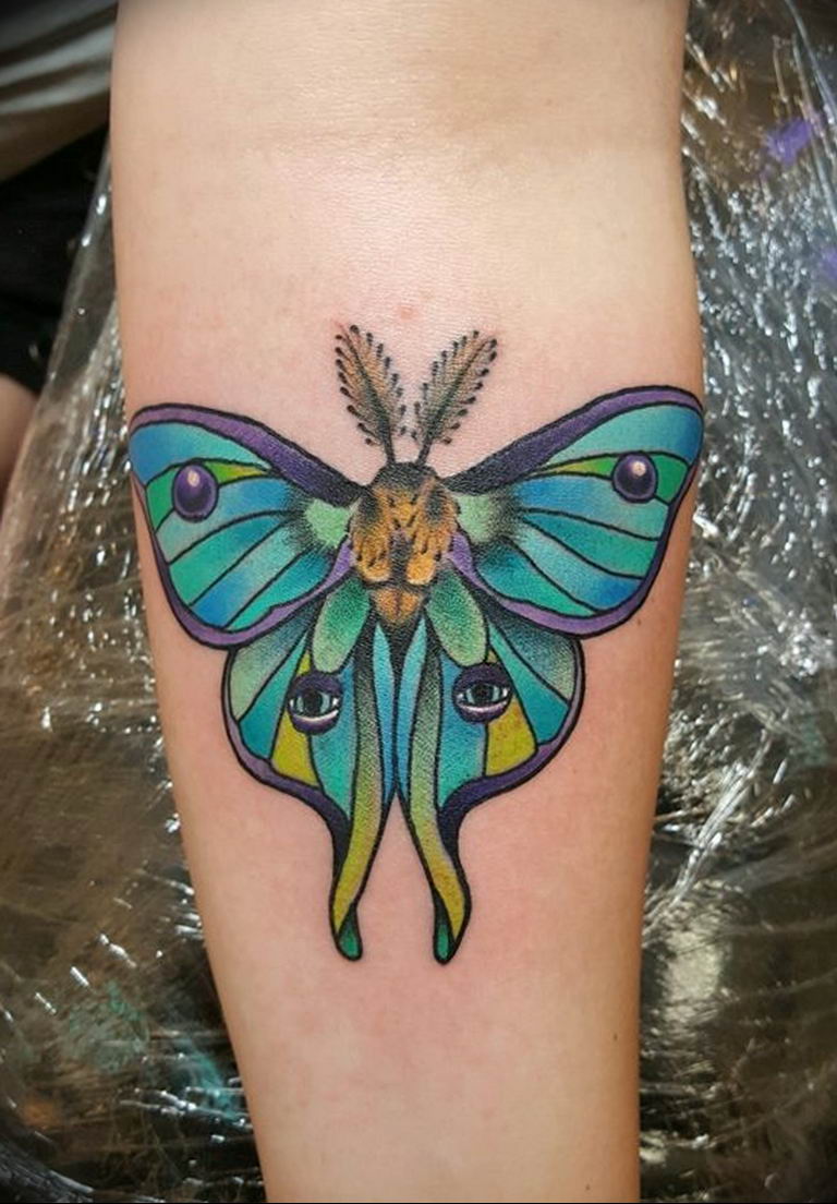 butterfly tattoo photo 04.02.2019 №191 - tattoo idea with a butterfly - tattoovalue.net