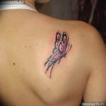 butterfly tattoo photo 04.02.2019 №198 - tattoo idea with a butterfly - tattoovalue.net
