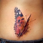 butterfly tattoo photo 04.02.2019 №200 - tattoo idea with a butterfly - tattoovalue.net