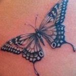 butterfly tattoo photo 04.02.2019 №207 - tattoo idea with a butterfly - tattoovalue.net
